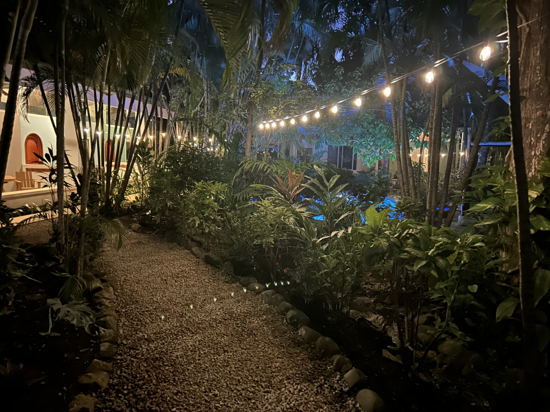 Rick's Place garden and pool illuminated at night